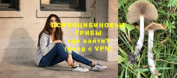стафф Верхний Тагил
