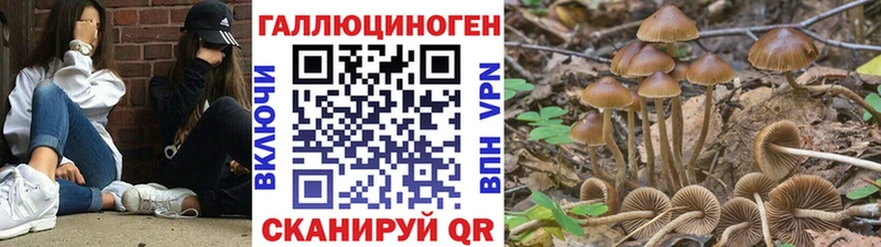 Галлюциногенные грибы прущие грибы  Шали 