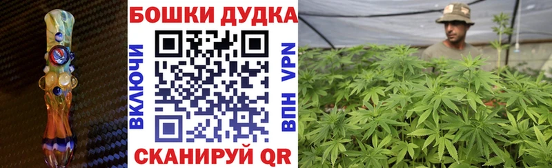 кракен ССЫЛКА  Шали  МАРИХУАНА Ganja 